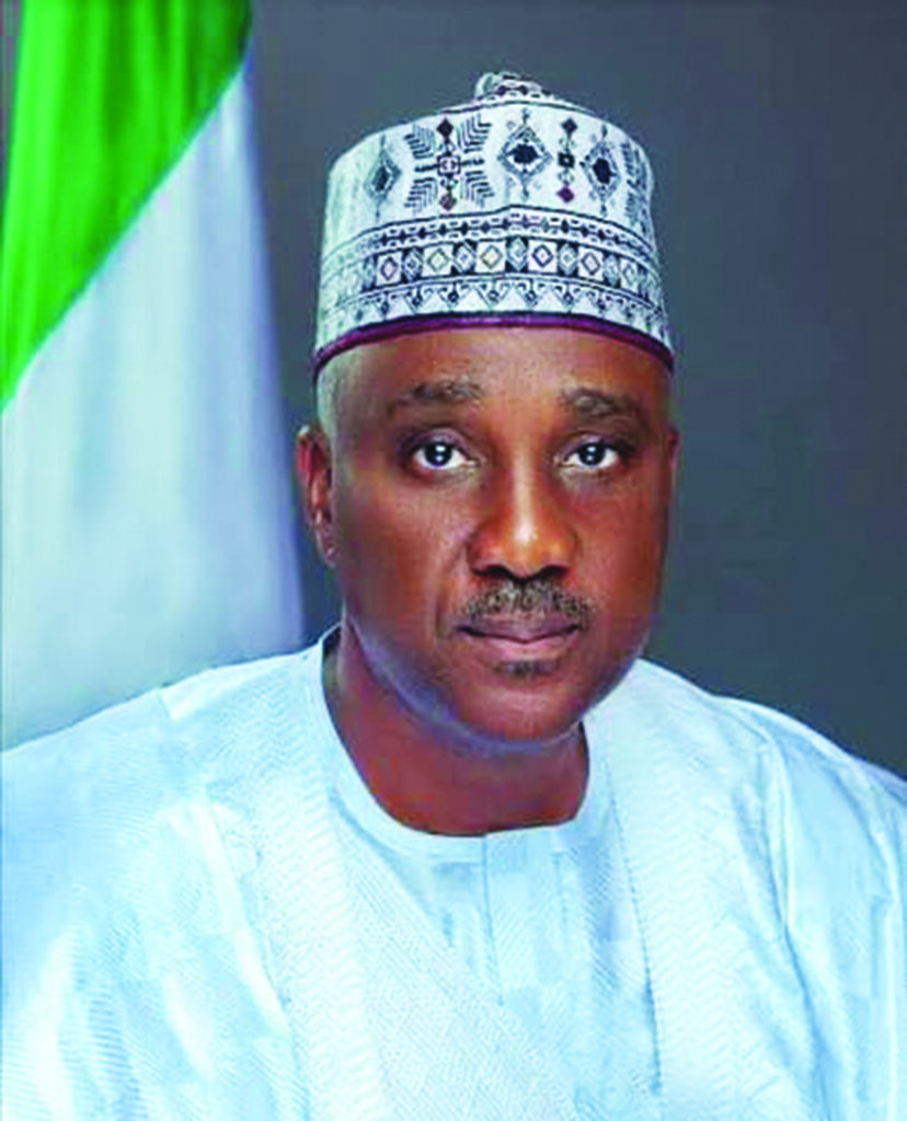 Another Jamboree by House Committee? – THISDAYLIVE
