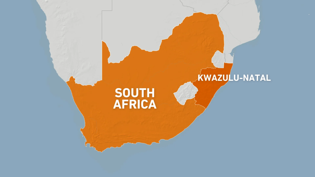 At least 11 people killed in South Africa township shooting | Gun Violence News