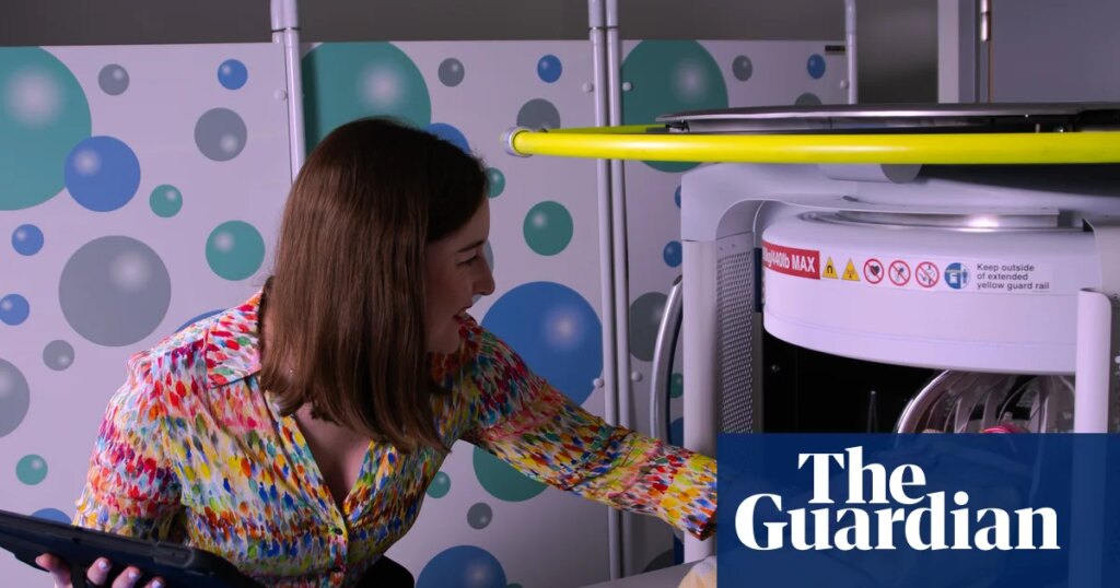 Babies born to anaemic mothers have smaller brains, study finds | Global development