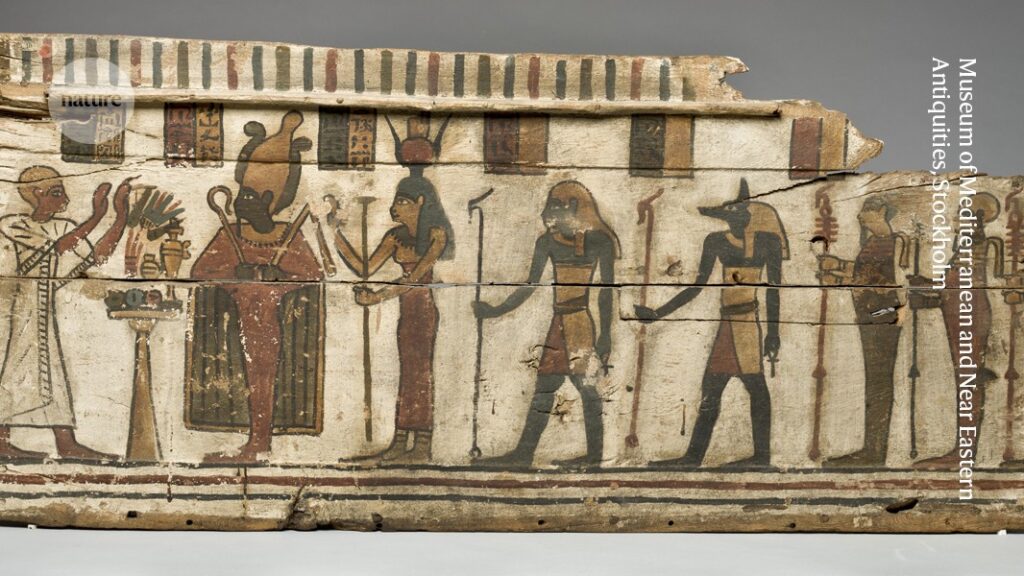 Body parts used for ancient Egyptian artworks traced to surprising source