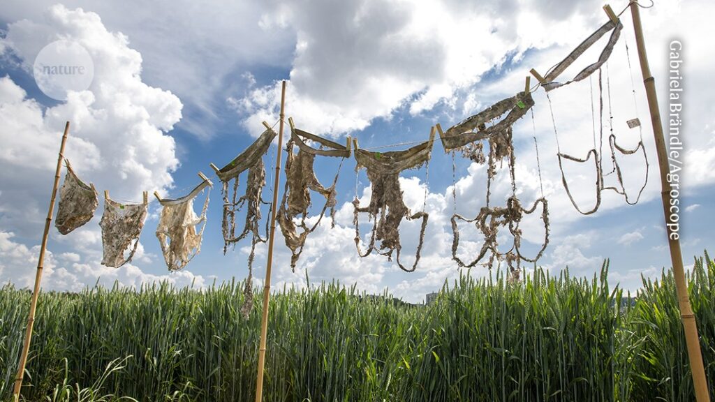 Buried underpants and a new definition of kissing win 2026 Ig Nobel prizes