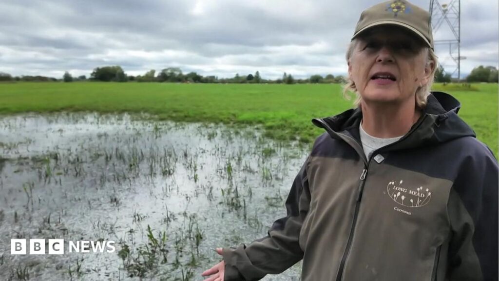 Burst pipe floods Oxfordshire wildlife meadow for fourth time