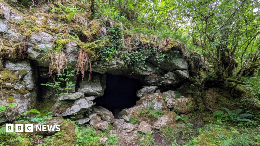 Cave art discovery suggests first humans in Ireland came from Wales Cave art discovery suggests first humans in Ireland came from Wales