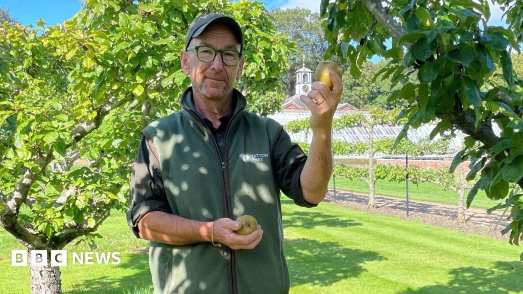 Cheshire’s Tatton Park Apple Day cancelled after poor harvest