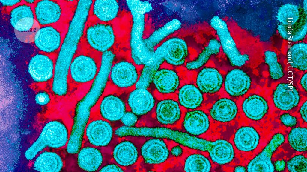 ‘Epigenetic’ editing is here: gene-tagging technique banishes hepatitis B virus