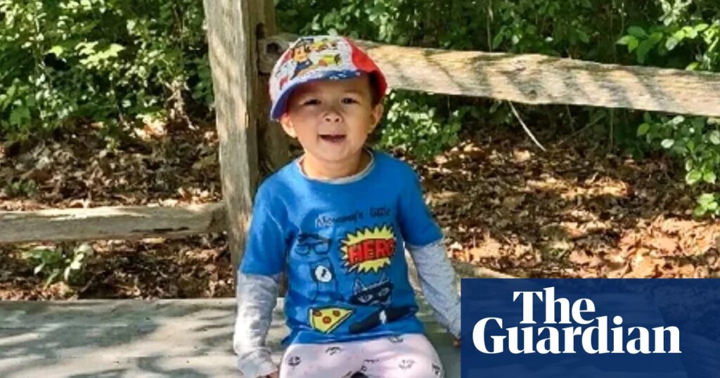 Ex-safety manager given 19 months’ prison over five-year-old’s hyperbaric chamber fire death | Michigan Ex-safety manager given 19 months’ prison over five-year-old’s hyperbaric chamber fire death | Michigan