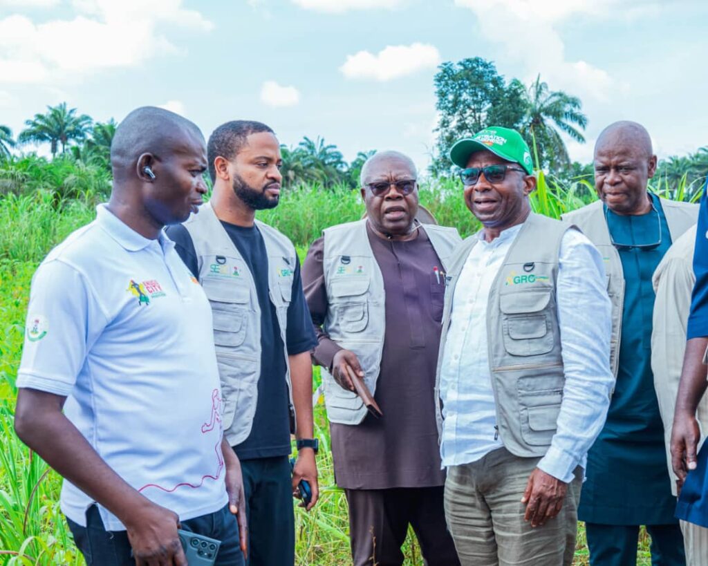 First SEDC Agro-mechanisation Project Set for Flag-off, as Okoye Visits Enugu Site – THISDAYLIVE