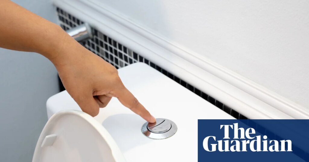 Flushing the toilet can release a ‘plume’ of breathable pathogens – and closing the lid won’t stop their escape | Australia news