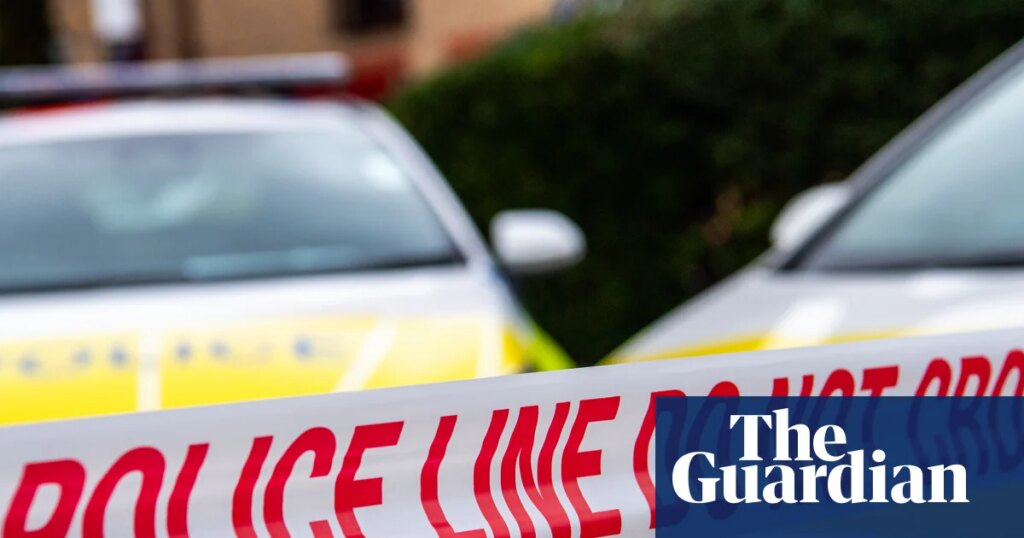Four charged with murder after newborn baby stabbed to death in Sheffield | UK news