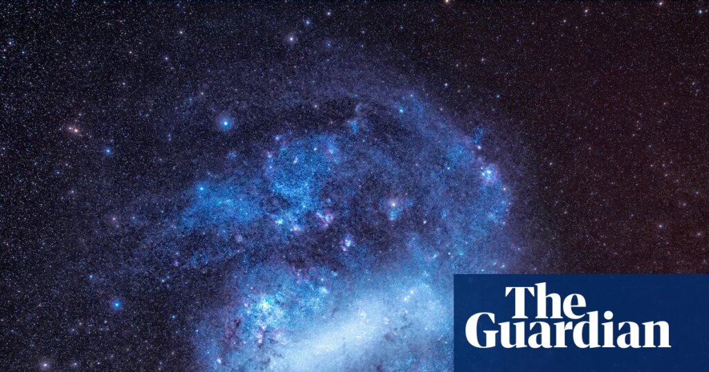 Have scientists finally detected dark matter? – video | Science