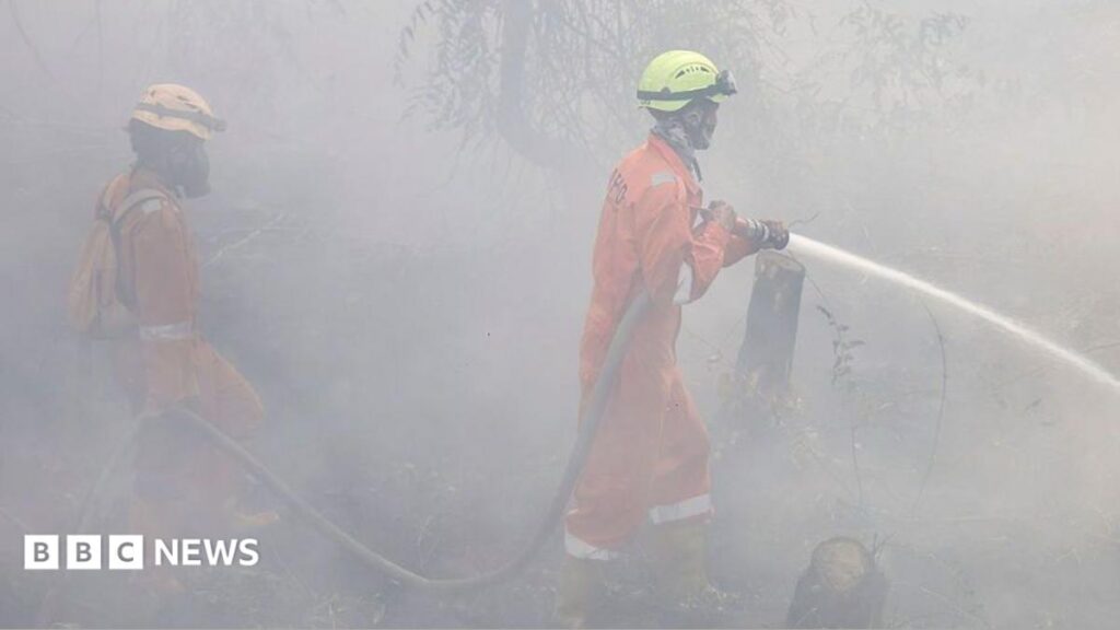 Haze-choked Indonesia records more than 170,000 respiratory cases