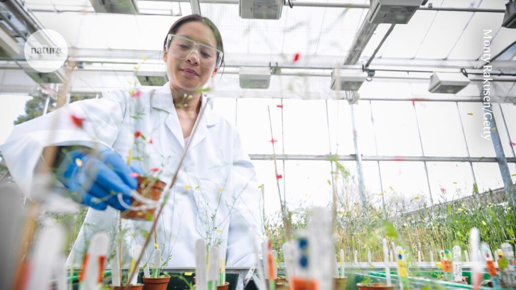 How research funding took me out of the lab and into leadership How research funding took me out of the lab and into leadership