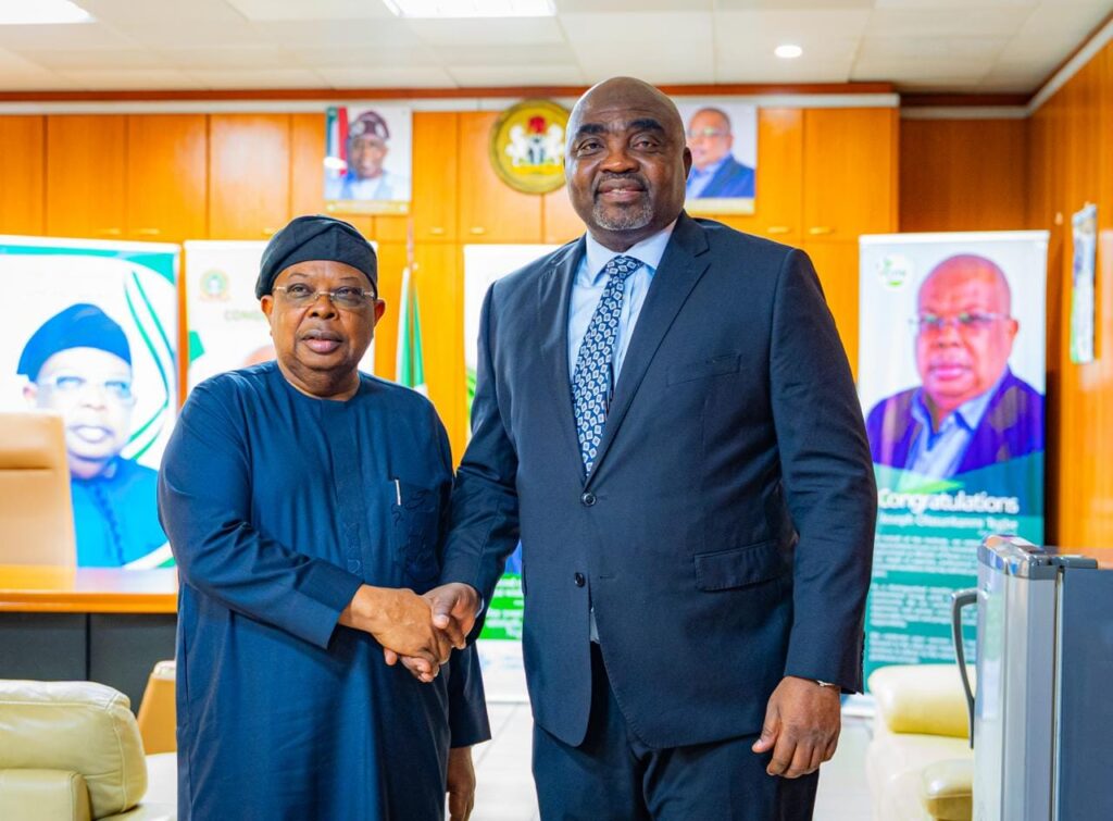 ICRC, Power Ministry Move to Fast-Track PPP Projects – THISDAYLIVE