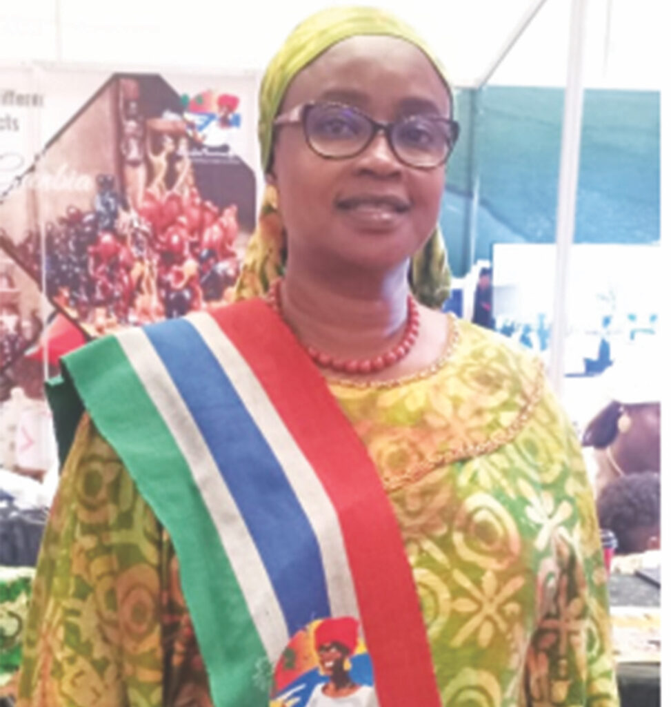 Ida Jeng Njie: Africans Should Promote Continent’s Destinations – THISDAYLIVE
