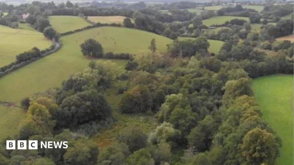 Jackson’s Coppice nature reserve to ‘double in size’