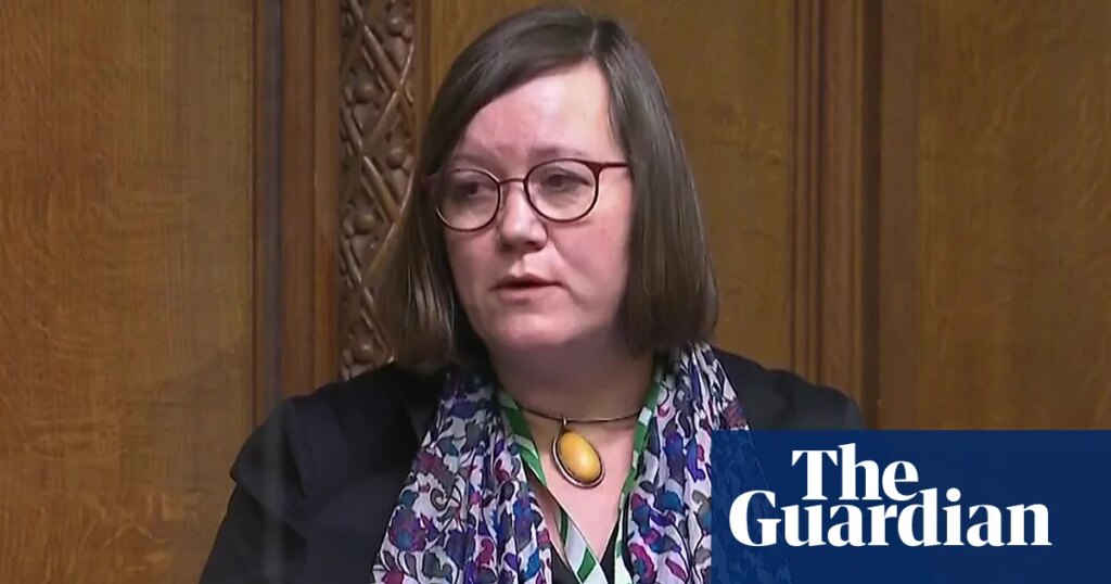 MPs on both sides urge Commons not to take ‘extraordinary risk’ of forcing through assisted dying bill | Assisted dying