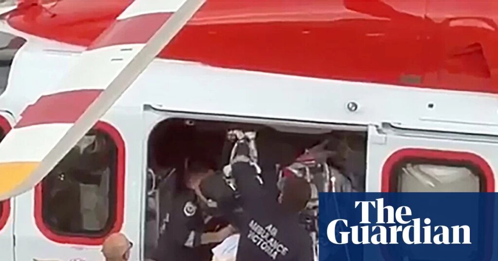 Manhunt after alleged axe attack in Victoria leaves three people with serious injuries | Victoria