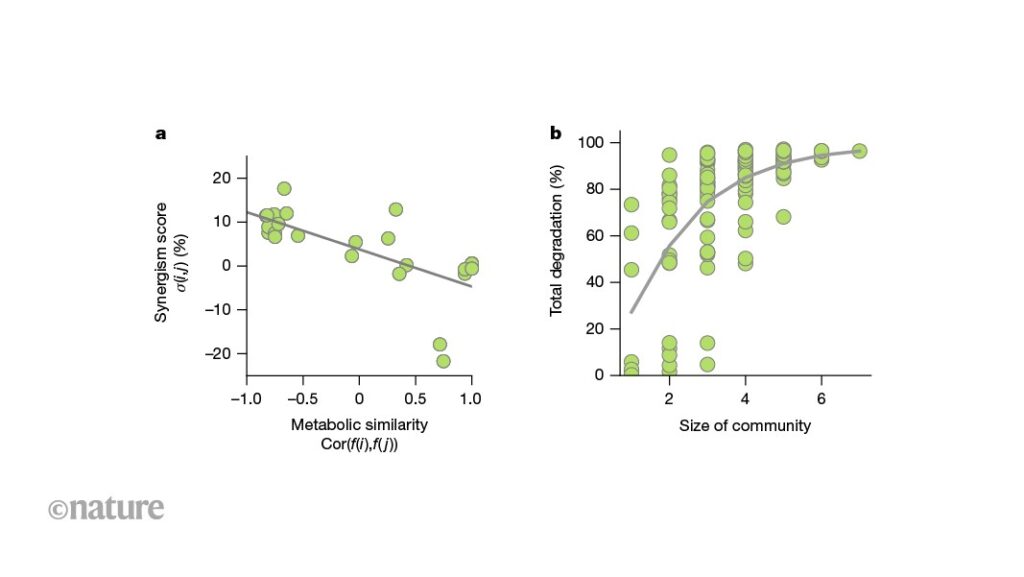 Marine bacteria cooperate to break down complex algal carbohydrates