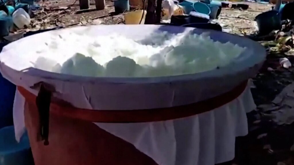 Mexico seizes 17 tonnes of meth in 7 million drug bust | News