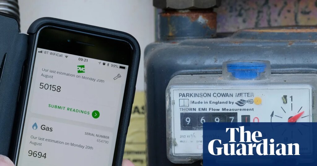 My autistic son lives in fear of bailiffs from Ovo breaking into his flat | Money