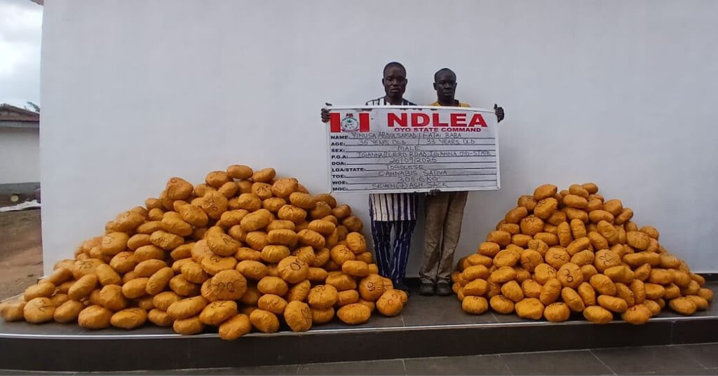 NDLEA intercepts N3bn opioids at Lagos airport, arrests man with 72 cocaine wraps NDLEA intercepts N3bn opioids at Lagos airport, arrests man with 72 cocaine wraps