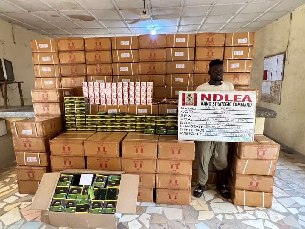 NDLEA seizes tonnes of cannabis, other drugs in seven states
