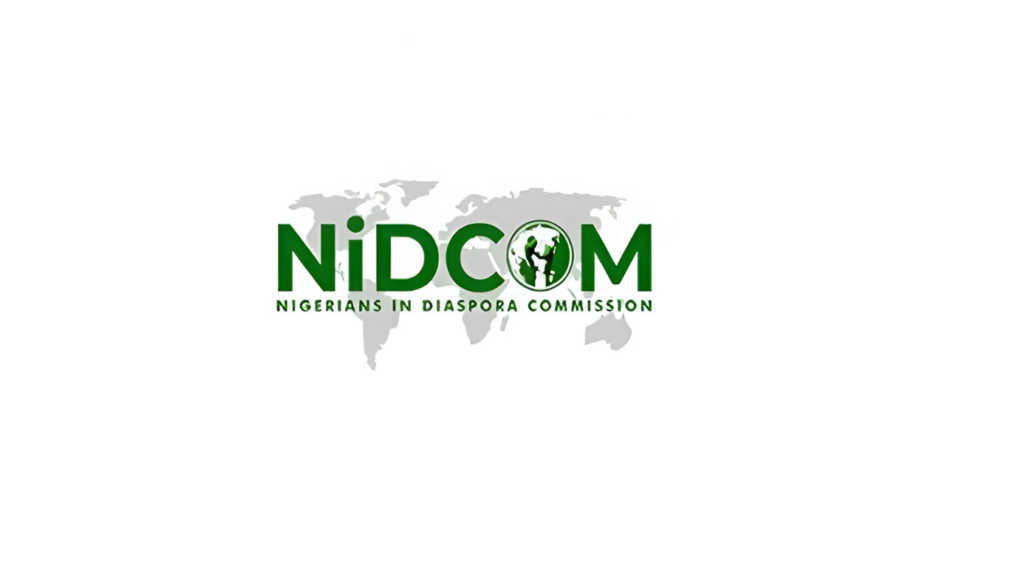 NIDCOM says Nigerian detained in India refused opportunity to return