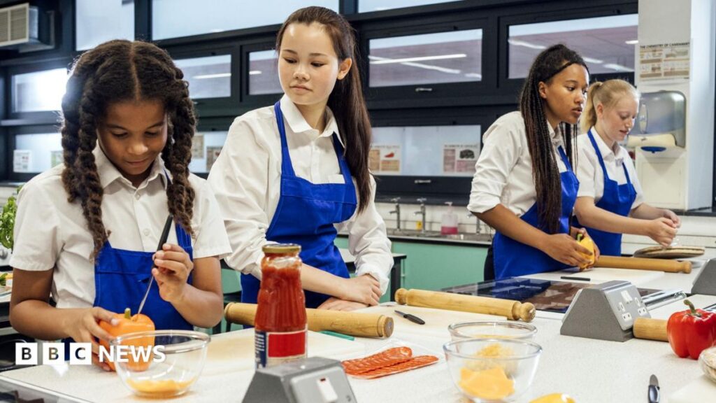 New vocational GCSE subjects to be introduced in schools