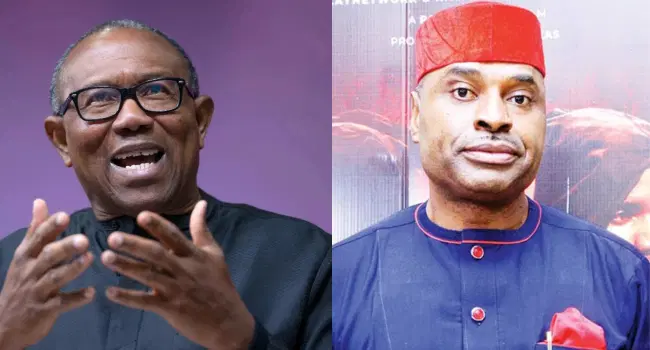 Obidient Movement shouldn’t have been named after Peter Obi — Kenneth Okonkwo Obidient Movement shouldn’t have been named after Peter Obi — Kenneth Okonkwo