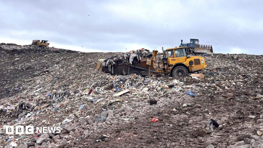 ‘Perfect storm’ could lead to rubbish piling up on Scotland’s streets, experts warn