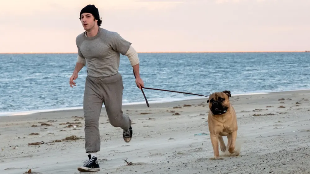 Peter Farrelly’s Sylvester Stallone Biopic Peter Farrelly’s Sylvester Stallone Biopic
