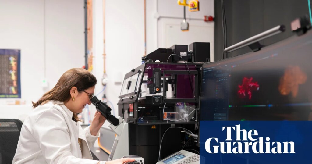 Researchers hope powerful new microscope will reveal ‘root cause’ of incurable bowel disease | Health