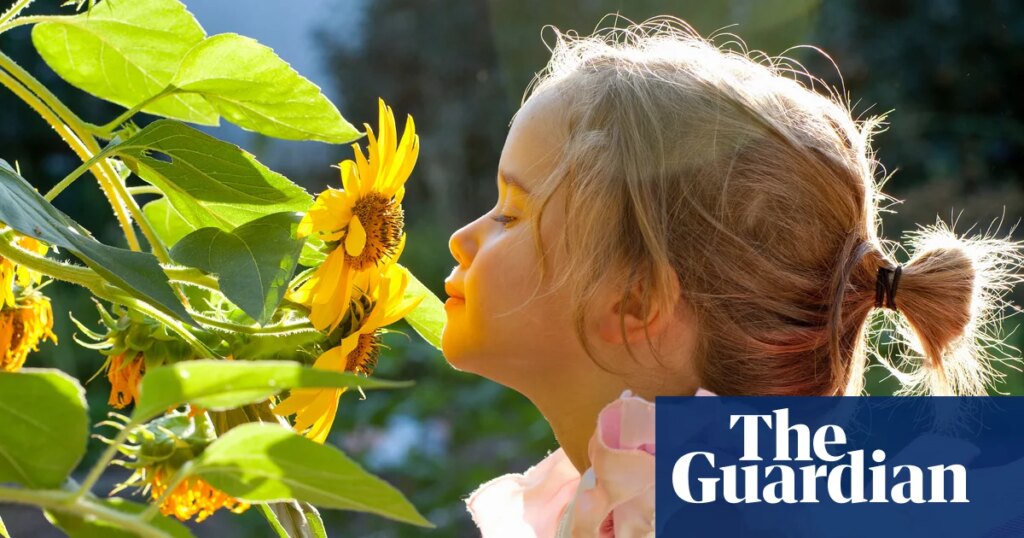 Smelling test: children need education in sniffing aromas, scientist says | Science