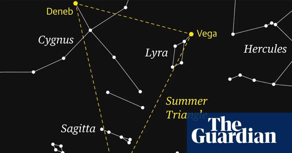 Starwatch: Sagitta’s arrow shape makes it easy to see against a dark sky | Astronomy