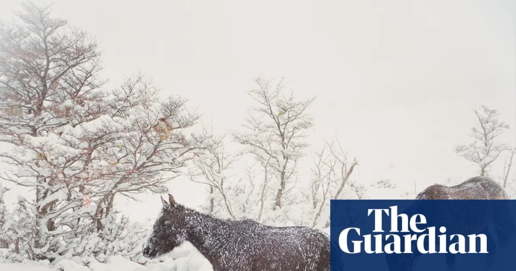 Strong, silent types? Meet the puesteros of Chile – in pictures