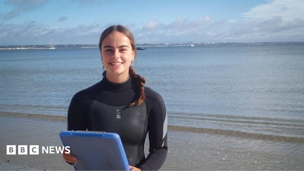 Studland seahorse habitats ‘healing’ thanks to eco moorings