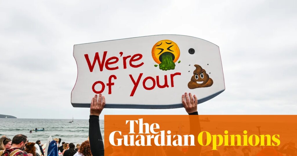 Thames Water, I refuse to pay the sewage charge in my bill while you pollute Britain’s rivers and coastlines | Jenny Jones