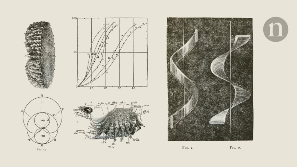 The Kelvin scale’s creator William Thomson made many scientific advances