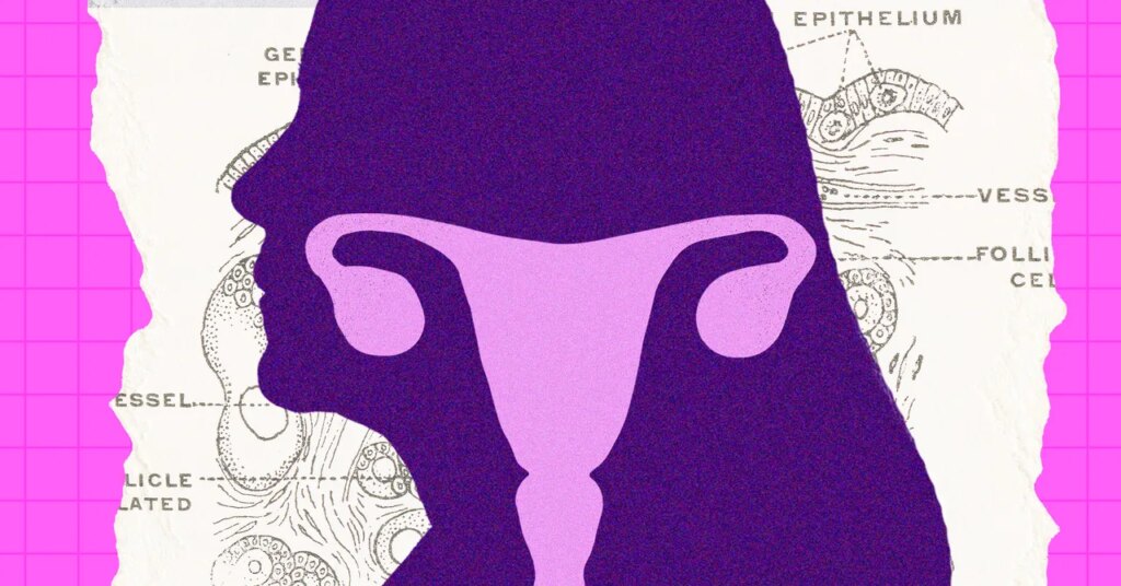 The Ovary Is Surprisingly Active After Menopause. Scientists Are Trying to Figure Out Why