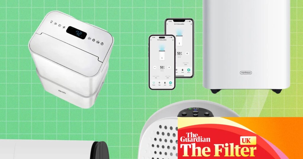 The best dehumidifiers: 14 favourites to beat damp and cut bills, tested | Life and style