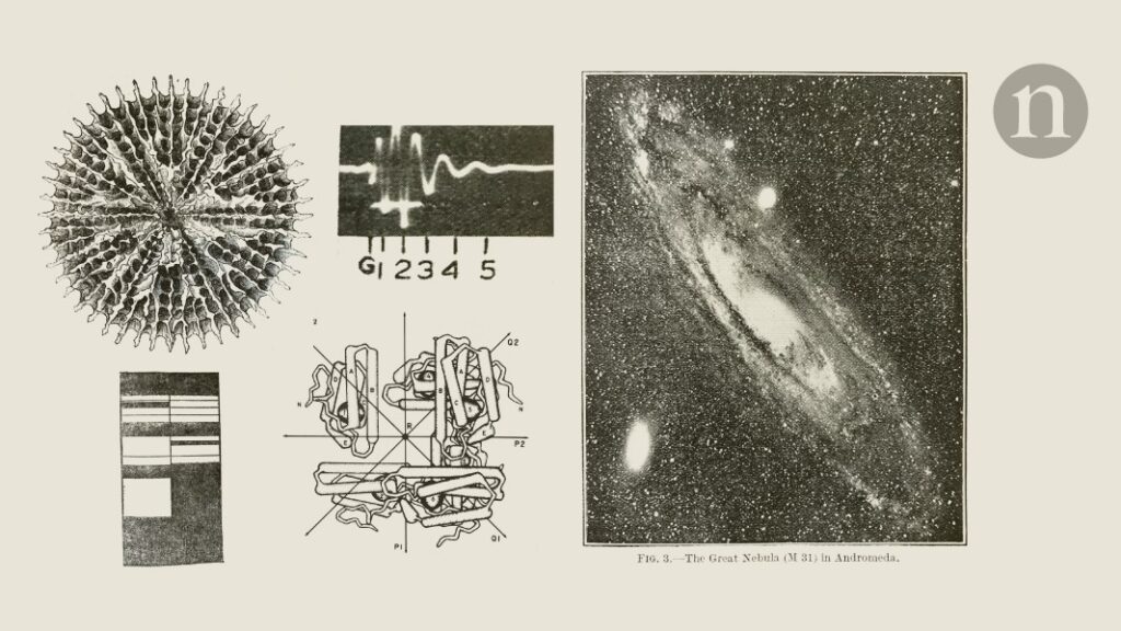 The geometric genius of René Descartes