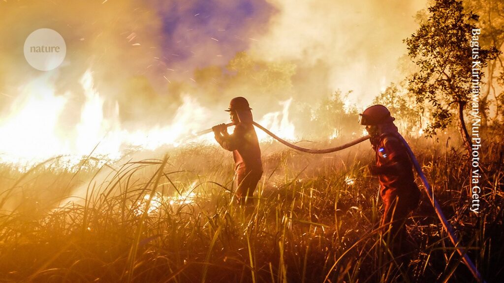 The super El Niño is already wreaking havoc: here’s what’s in store The super El Niño is already wreaking havoc: here’s what’s in store