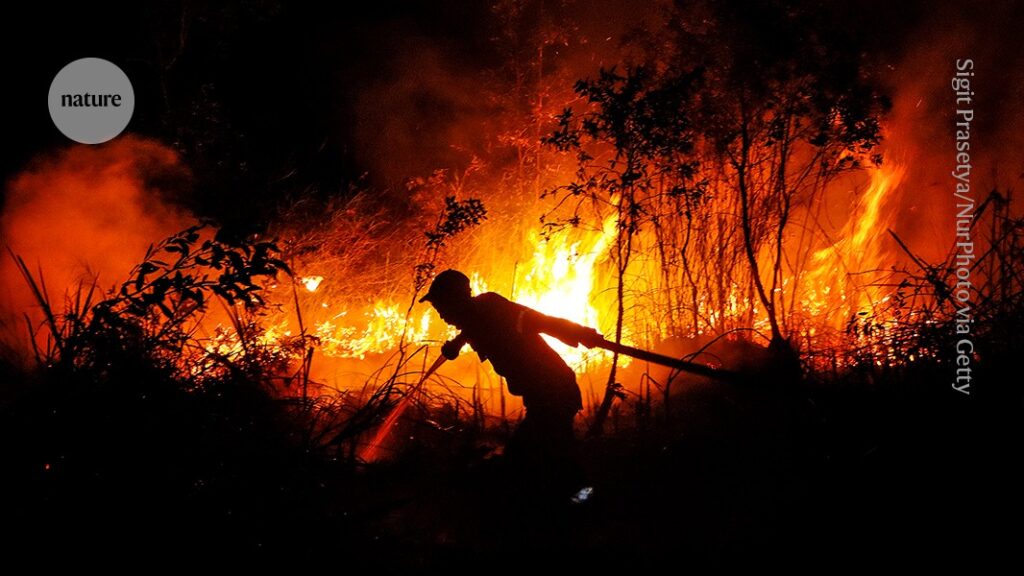 The worst El Niño in recorded history is brewing — here’s how governments must prepare