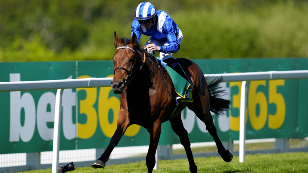 Today on Sky Sports Racing: Raaheeb aims to resume his progression at Windsor | Racing News Today on Sky Sports Racing: Raaheeb aims to resume his progression at Windsor | Racing News