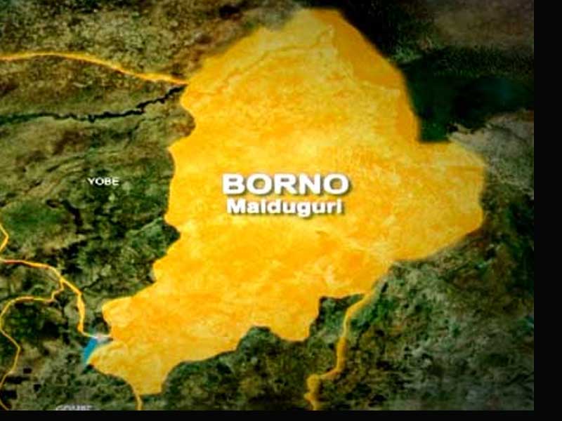 Troops Recover More Boko Haram/ISWAP Items after Failed Attack in Borno – THISDAYLIVE Troops Recover More Boko Haram/ISWAP Items after Failed Attack in Borno – THISDAYLIVE