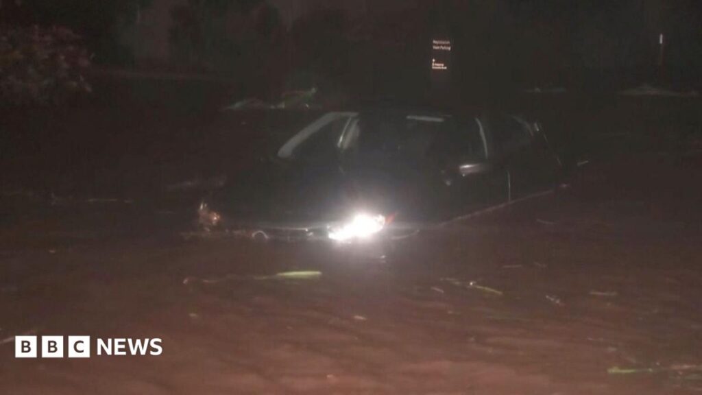 Watch: Downed trees and flooding as Hurricane Lowell batters western Hawaii
