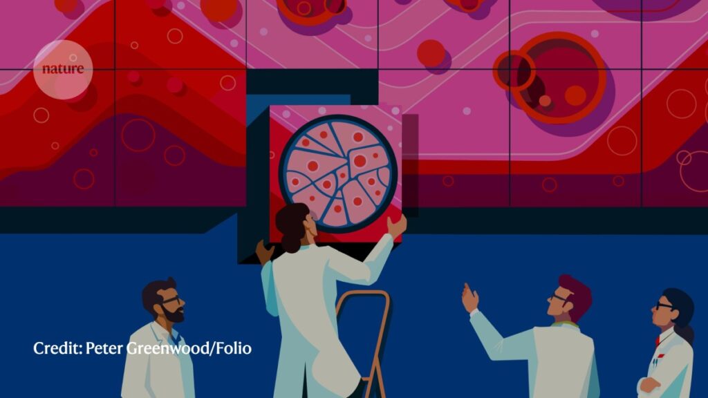 What is needed for regenerative medicine to flourish?