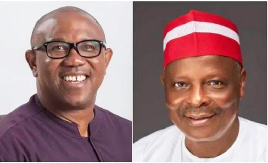 When Transparent Election Monitoring Platform Becomes Ruling Party’s Nightmare – THISDAYLIVE