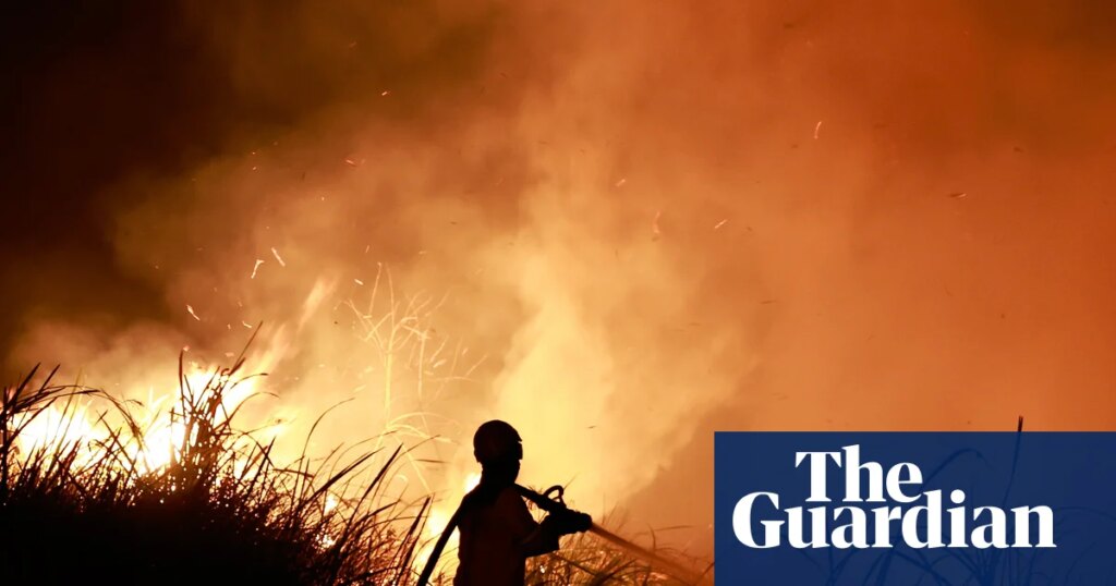 ‘Jaw-dropping’: Super El Niño bursts through temperature record months ahead of peak | El Niño southern oscillation