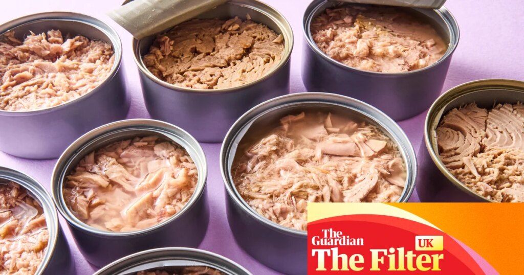 ‘Pungent and mealy’: the best (and worst) supermarket tuna, tasted and rated | Fish